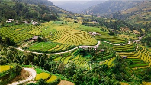 Tourismusprogramm zum Erleben der Reisterrassen in Hoang Su Phi 2023 - ảnh 1