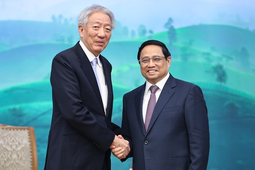 Aufwertung der Vietnam-Singapur-Beziehungen zu umfassender strategischer Partnerschaft zum entsprechenden Zeitpunkt - ảnh 1