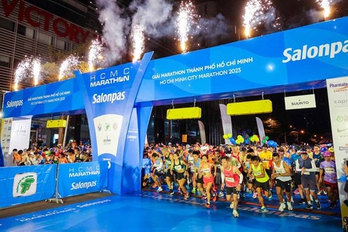 Fast 1.300 ausländische Sportler nehmen am erweiterten Marathonlauf von Ho-Chi-Minh-Stadt teil - ảnh 1