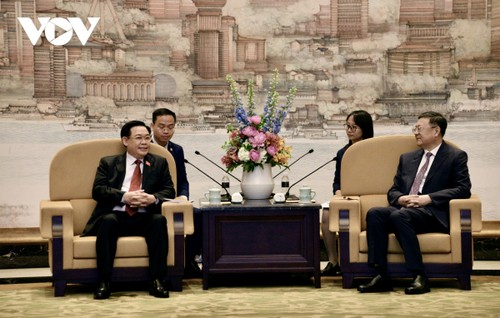 Parlamentspräsident Vuong Dinh Hue trifft Parteisekretär der Stadt Shanghai Chen Jining - ảnh 1