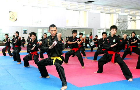 越南传统武术表演在瑞士举行  - ảnh 1