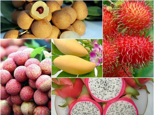 为越南水果寻找在世界市场上的立足之地 - ảnh 2