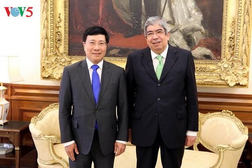 越南政府副总理兼外长范平明会见葡萄牙议会议长罗德里格斯 - ảnh 1