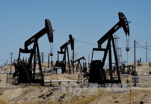 石油输出国考虑继续延长减产协议的实施期限 - ảnh 1