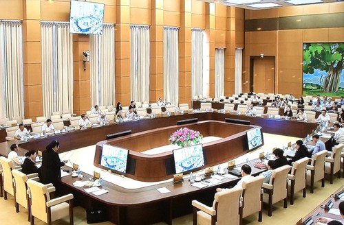 越南国会常委会向政府关于性别平等的国家目标实施情况报告提供意见 - ảnh 1