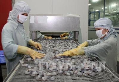 欧盟成为越南虾的最大进口市场 - ảnh 1