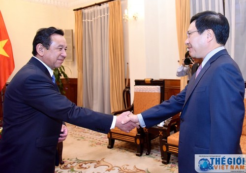 越南政府副总理兼外长范平明会见蒙古国驻越大使比雷格多里 - ảnh 1