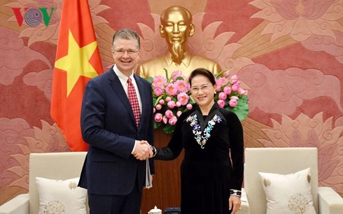越南国会主席阮氏金银分别会见美国和加拿大驻越大使 - ảnh 1