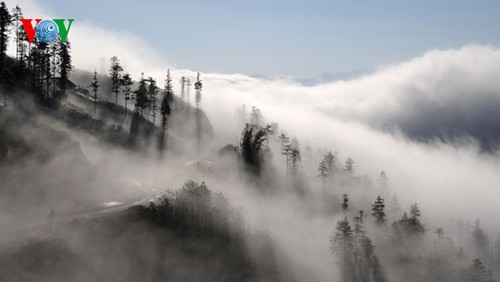 Highland Sapa in the clouds - ảnh 3