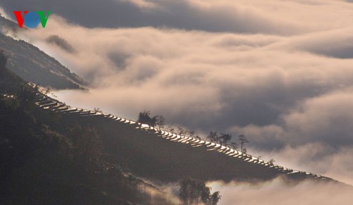 Highland Sapa in the clouds - ảnh 8