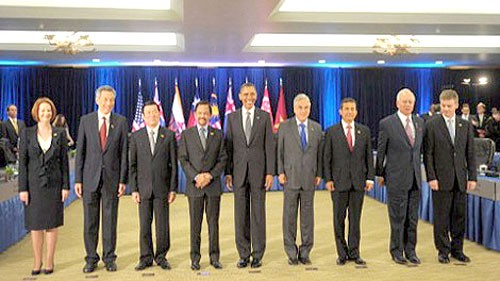 Vietnams Beiträge zum APEC-Gipfel - ảnh 1