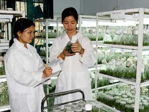 Vietnam und Laos wollen ihre Zusammenarbeit in Wissenschaften verstärken - ảnh 1