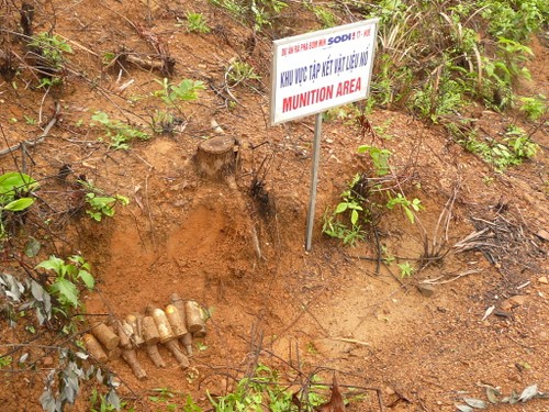 Deutschland hilft Vietnam weiterhin bei Minenräumung - ảnh 1