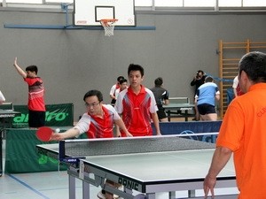 Sportwettbewerb der Vietnamesen in Europa - ảnh 1