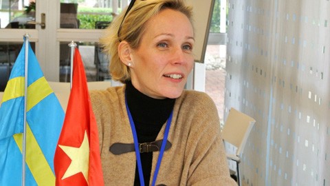 45 Jahre diplomatischer Beziehungen zwischen Schweden und Vietnam gefeiert - ảnh 1
