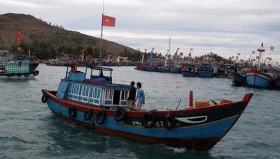 Fischer in Quang Ngai gehen zum Fischfang aufs Meer - ảnh 1
