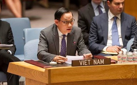 Reaktion der Weltgemeinschaft und Vietnams auf MH17-Absturz - ảnh 1
