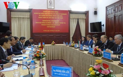 Hochrangiges Gespräch zwischen Obersten Gerichtshöfen Vietnams und Ungarns - ảnh 1
