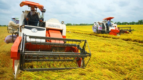Zusammenarbeit in der Landwirtschaft des Mekong-Deltas zur Schaffung einer Wertkette - ảnh 1