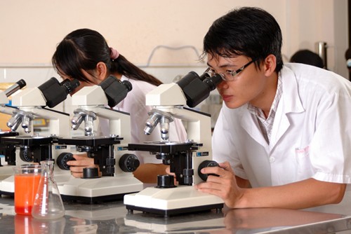 2015 soll Vietnam Arbeitskräfte für Wissenschaft und Technologie entwickeln  - ảnh 1