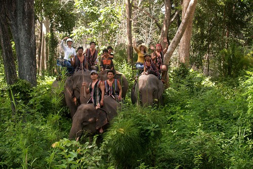 Entdeckung des Nationalparks Yokdon in Dak Lak - ảnh 1