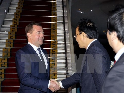 Russlands Premierminister Medwedew schließt seinen Vietnambesuch ab - ảnh 1
