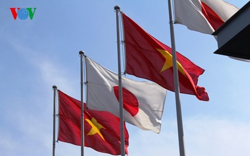 Vietnam und Japan geben eine gemeinsame Erklärung über die Aussichten ihrer Beziehungen ab - ảnh 1