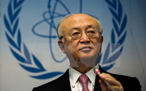 IAEA veröffentlicht Bericht, dass Iran Atomvereinbarung erfüllt - ảnh 1