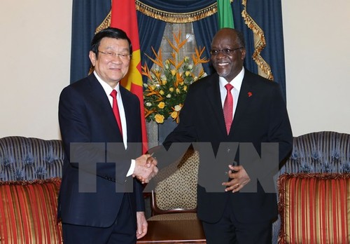 Staatspräsident führt Gespräch mit Tansanias Präsident - ảnh 1