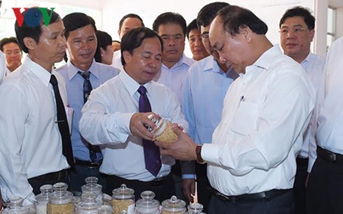 Premierminister Nguyen Xuan Phuc besucht Reisinstitut des Mekongdeltas - ảnh 1