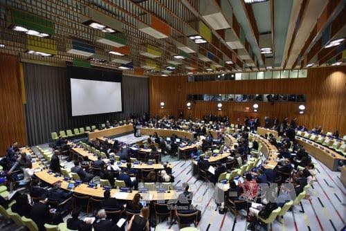 Sitzung der UN-Vollversammlung: Staats- und Regierungschefs suchen Lösung für die Flüchtlingskrise - ảnh 1