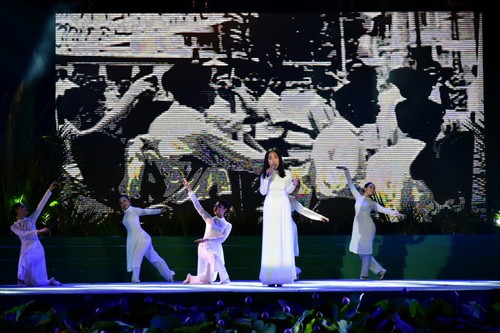 Konzert zur Feier des 71. Jahrestags des Widerstandskampfes im Süden - ảnh 1