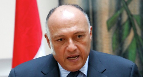 Ägypten und Vereinigte Arabische Emirate etablieren politische Konsultationen - ảnh 1