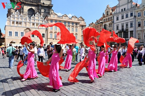 Vietnam beteiligt sich am Kulturfest der Minderheitsvolksgruppen in Tschechien 2017 - ảnh 1