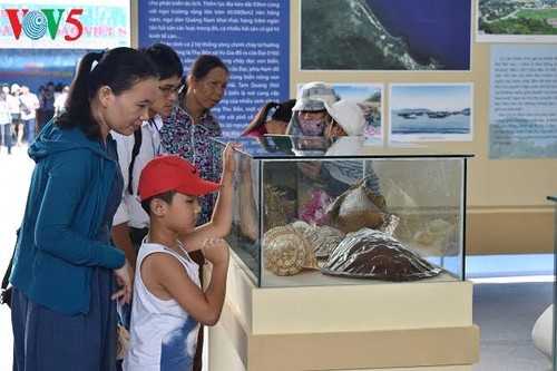 Ausstellung zur Ehrung der kulturellen Werte des Meeres und der Inseln Vietnams - ảnh 2