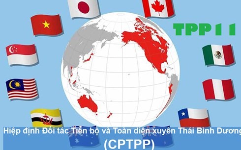 Vietnam nimmt die Chancen des CPTPP-Abkommens wahr - ảnh 1