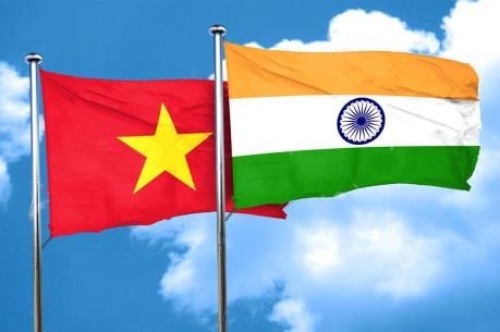 Förderung der umfassenden strategischen Partnerschaft zwischen Vietnam und Indien - ảnh 1
