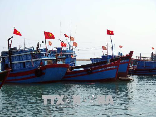 Chinas Fischfangpause im vietnamesischen Meeresgebiet ist wertlos - ảnh 1