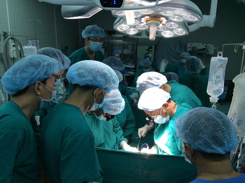 Erfolge der Transplantation in Vietnam - ảnh 1