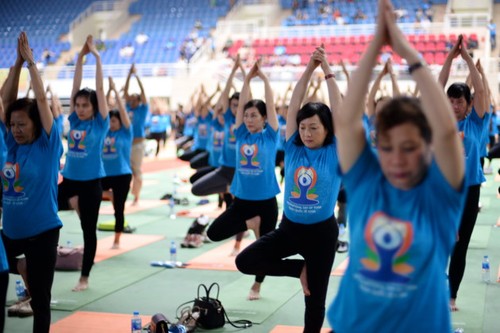 Knapp 1500 Menschen beteiligen sich an einer Yoga-Aufführung in Hanoi - ảnh 11