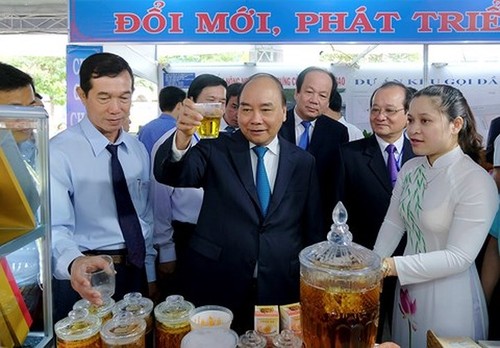 Premierminister Nguyen Xuan Phuc tagt mit Leitung der Provinz Tien Giang - ảnh 1