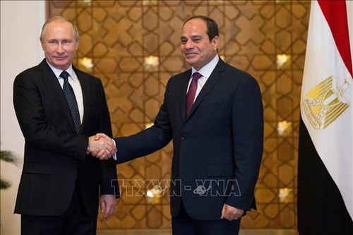 Ägypten und Russland werden umfassende Partner - ảnh 1