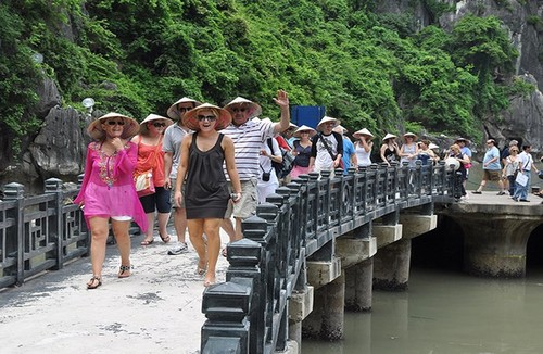 2019 soll Vietnam Werbung für Tourismus ausbauen - ảnh 1