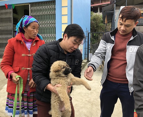 Suche nach Hunden der ethnischen Minderheit Mong auf Bac Ha Markt - ảnh 3