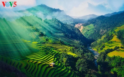 Schöne Reisterrassen in Mu Cang Chai zur Erntezeit - ảnh 1