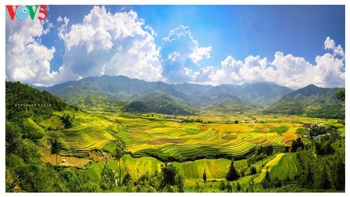 Schöne Reisterrassen in Mu Cang Chai zur Erntezeit - ảnh 8