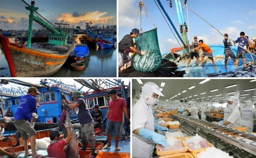Mühe Vietnams zur Aufhebung der gelben Karte der EU-Kommission gegen IUU-Fischerei - ảnh 1