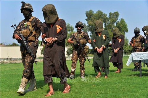 Afghanistan: 80 Taliban-Kämpfer getötet - ảnh 1