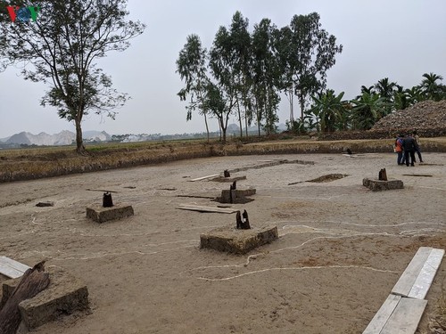 Pfahlfeld aus der Tran-Dynastie in Hai Phong entdeckt - ảnh 1