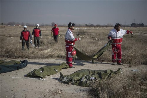 Ukraine wird Familien der Opfer des Flugzeugabsturzes im Iran Geld zahlen - ảnh 1